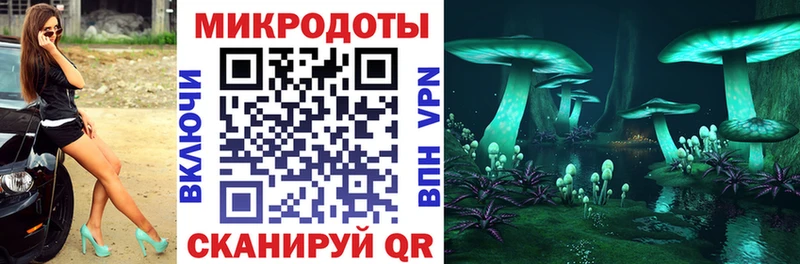 как найти наркотики  Ахтубинск  Псилоцибиновые грибы Psilocybe 