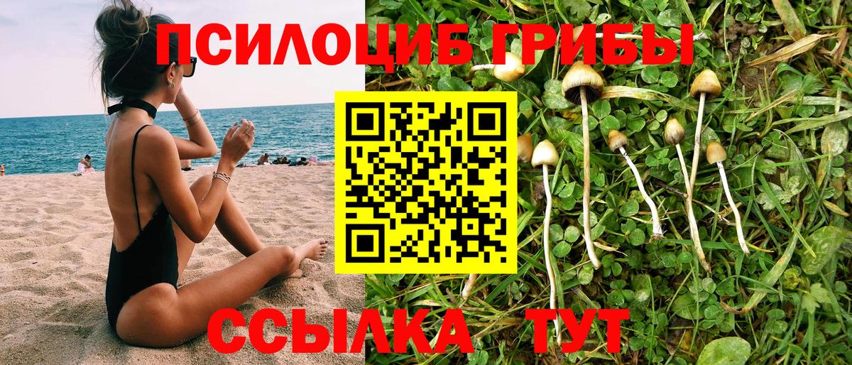 Псилоцибиновые грибы Psilocybine cubensis  Вход с VPN  Галлюциногенные грибы GOLDEN TEACHER  Ахтубинск 